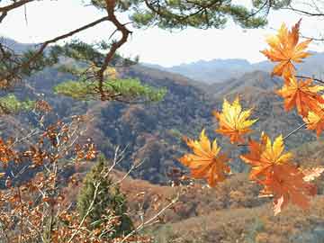 人钞70最新价格信息汇总