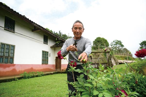 幸福满院电视剧